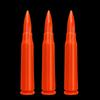 Simulated Training Bullet Models