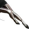 Gothic Halloween Skeleton Costume Footed Tights Summer Women Funny Stockings Skull Print Pantyhose Leggings for Cosplay Party