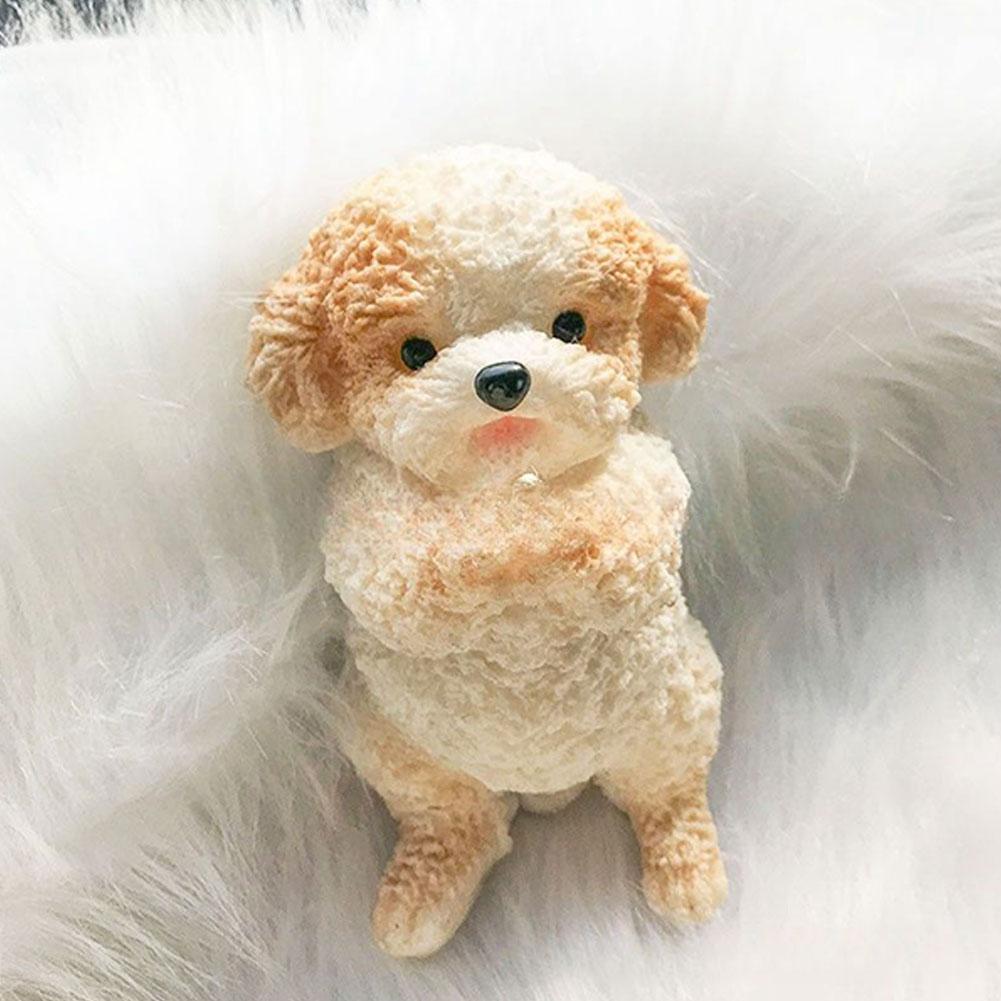 Congratulations Schnauzer Cat Teddy Simulation Large To Relaxing Pinch Cat Gift Schnauzer Congr O3P9