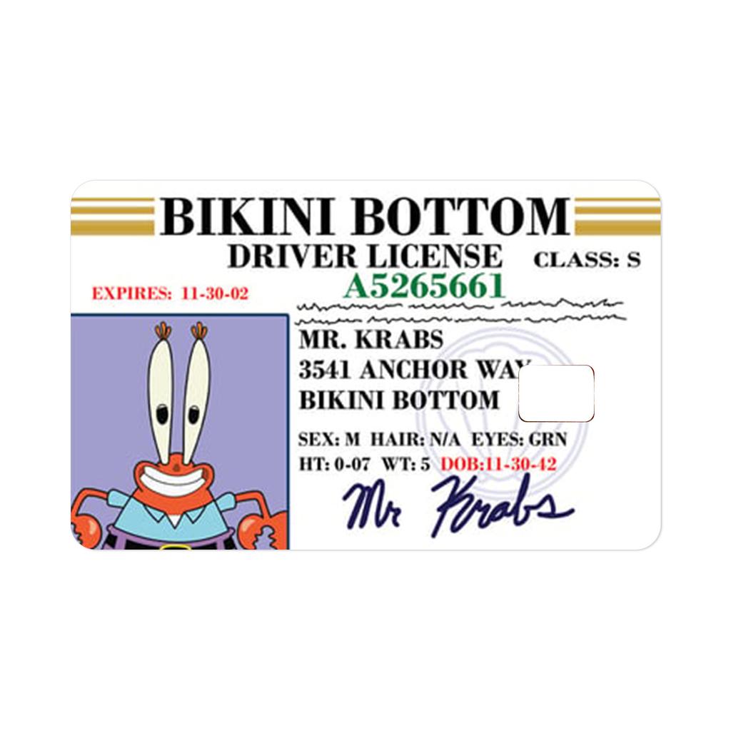 Card Skin Sticker For EBT, Transportation, Key, Credit, Debit Card Skin - Protecting And Personalizing Bank Card - No Bubble, Slim, , Digital-Printed