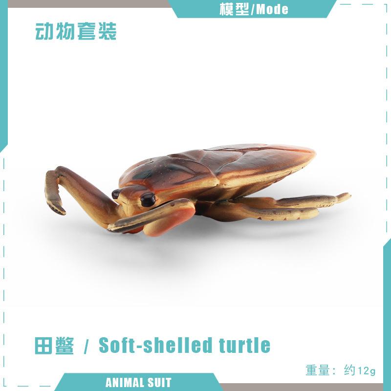 

Имитация модели насекомого, Лириодендровый жук, Жук, Треугольная лягушка-мертволист, Рептилия, Настольная игрушка