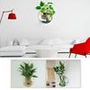Home Decoration Wall Mount Fish Tanks Goldfish Bowl Acrylic Hanging Aquariums Flowerpot Flower Vase