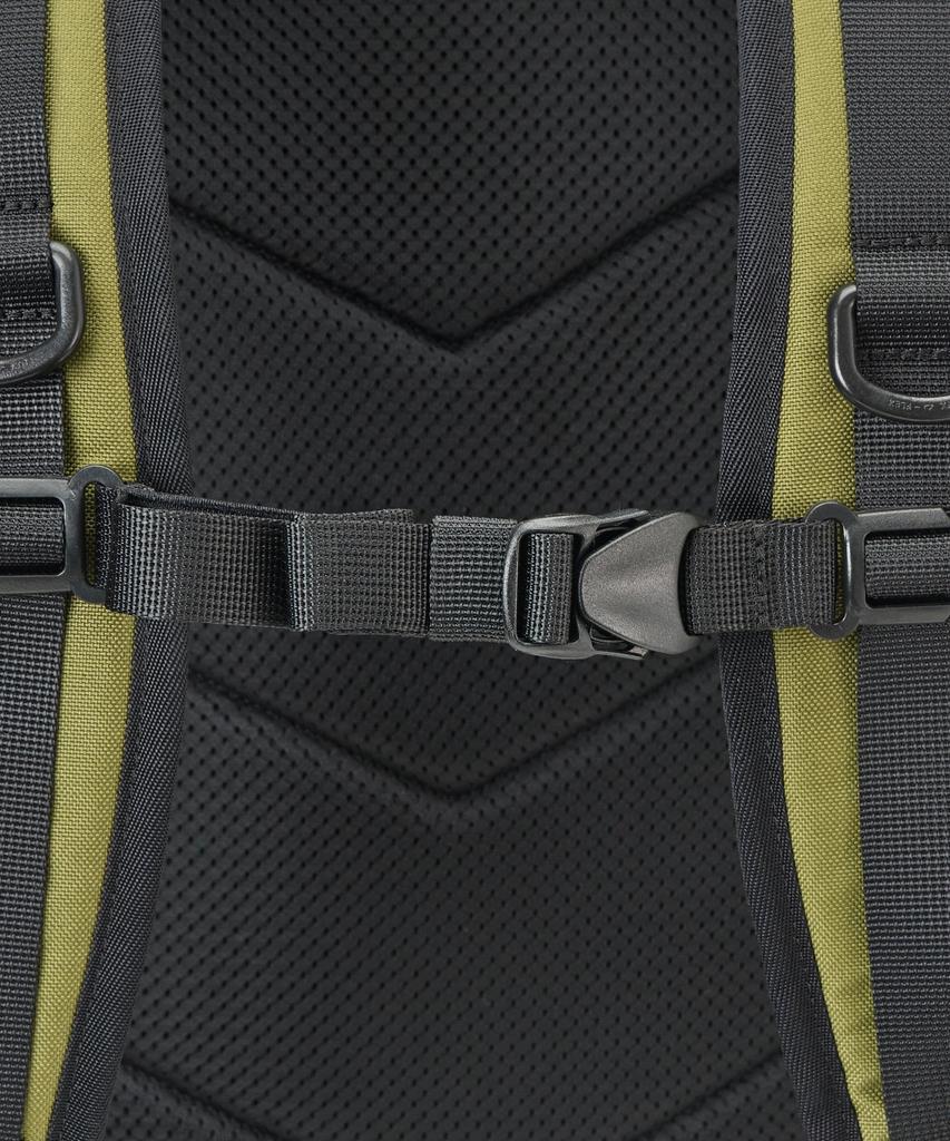 Dakine 96 Heli Street Backpack 22L CPR F