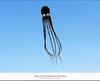 15-Meter 3D Soft Octopus Kite - Large Cylinder Design