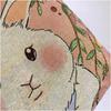 Canvas Bags Handbag For Women Shopper Cute Cat Shopping Tote Bag With Zipper Designer Bag Japanese Style Cartoon Large Shoulder Bags