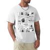 MAKING AMERICA GREAT  WomenS SUFFRAGE TShirt Unisex t shirts for Unisex casual TShirt
