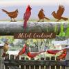 5PCS Rusty Birds Decoration, Wall Fence Hummingbirds Craft Statue Ornaments,Garden Sculptures and Yard Art,Rustic Garden Farmhouse Decor,