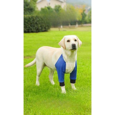 Köpek – Köpek bakım ürünleri