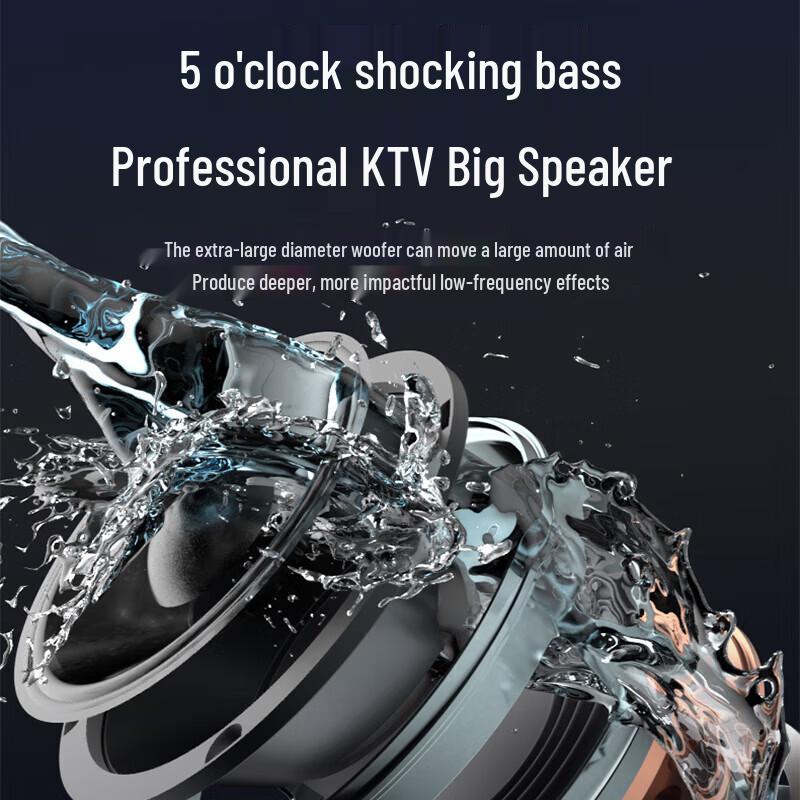 SAST SW-20 All-in-One Karaoke System with Screen CN plug (adapter included)