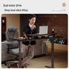 Loctek ES2Pro Dual Motor Electric Standing Desk