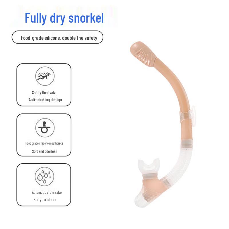 Adult Anti-Fog Snorkel Mask & Dry Snorkel Set