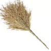 JNS0324 Industrial Bamboo Broom