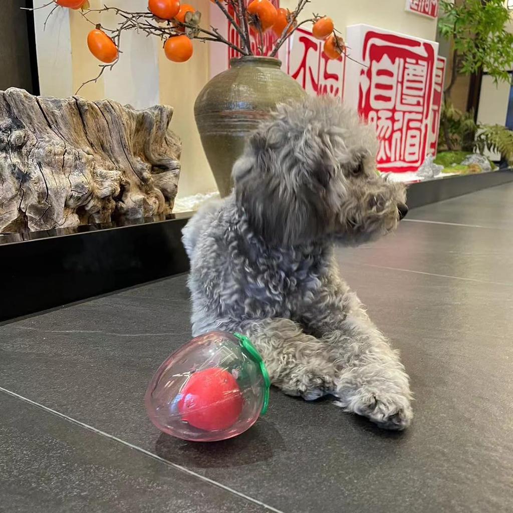 Dog training small and dog exercise easy to fashionable toys, ball-shaped, sound-making toys, strawberry, washable, durable, toys, medium-sized dogs,