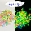 Peixe e animais aquáticos – Decoração de tanque de peixe