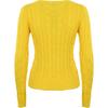 Polo Ralph Lauren Solid Logo Embroidered Crew Neck Long Sleeve Sweater Women Sweater Yellow 211910421-022