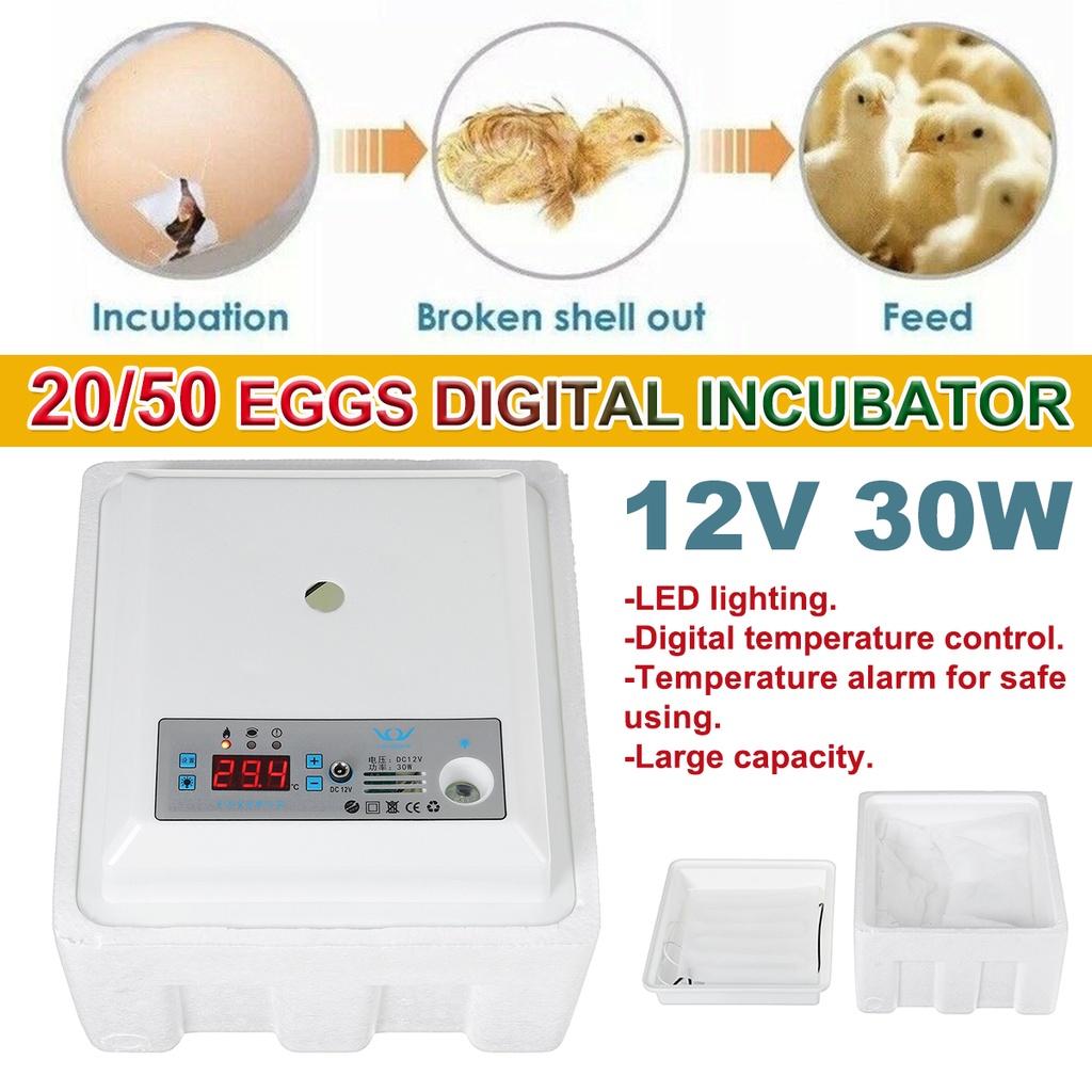 Dijital Kuluçka Kutusu Yumurta Kuluçka Makinesi Otomatik Yılan Kertenkele Sürüngenler İçin Uygun Sürüngen Yumurta Kutusu Sürüngen Üretim Kutusu AC220V 30W