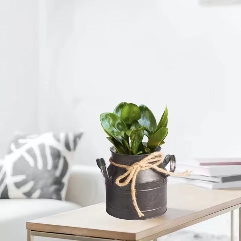 Retro Rural Style Metal Vase Unique Design Living Room Desktop Ornament Suitable Flower Arrangement Tank Household Supplies