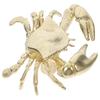Brass Crab Cabinet Pull Nautical Coastal Drawer Handles Retro Sea Theme Unique Furniture Knobs Living Room Bedroom