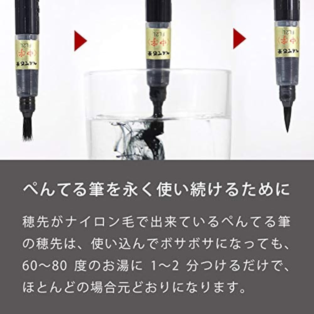 Pentel Brush Pen Pentel Brush XFP5M Medium Black