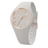 Icegram Ladies Wristwatch ICE Glam Brushed Wind Small 019527