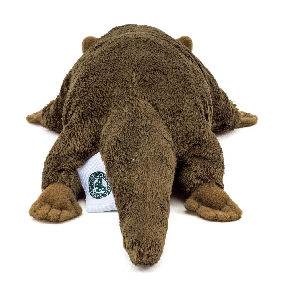 Calorata Asian Otter Plush Toy Realistic Animal Toy Doll Gift Present Birthday Christmas Present Small-Clawed (Nestling Series/Soft Touch) (Twice