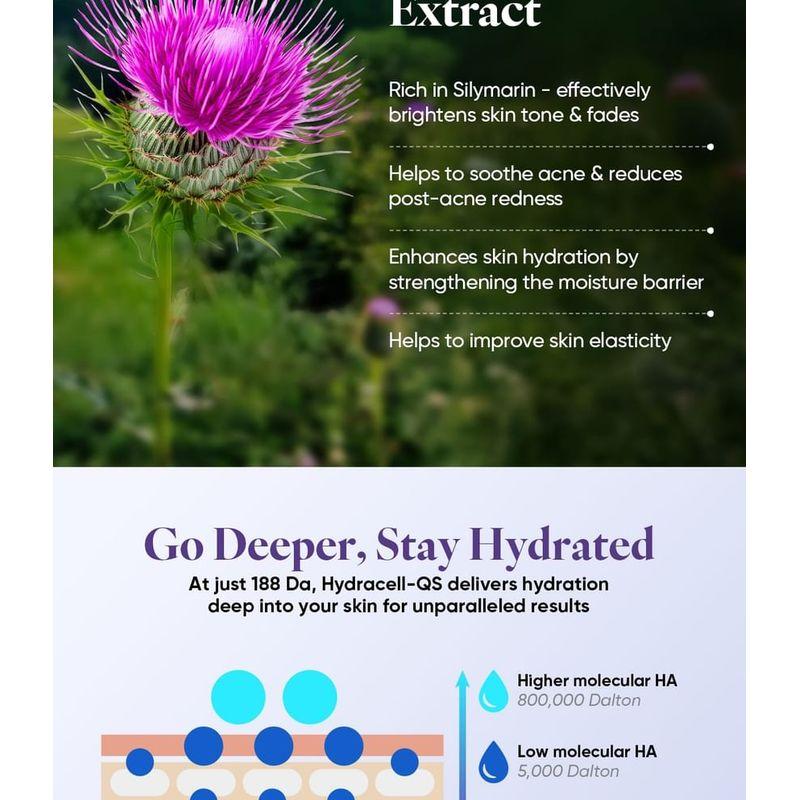 RAWQUEST - Milk Thistle Brightening SPA Black Mask Set