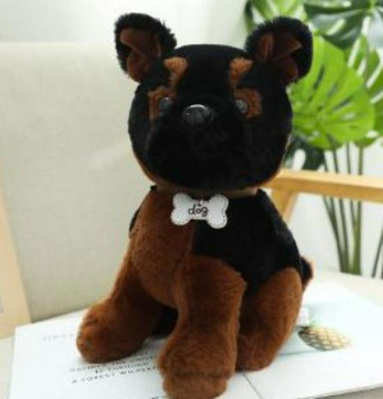 Teddy Dog Plush Toy: Husky Puppy with Nameplate & Dog Claw Machine Accessory