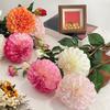 Artificial Chrysanthemum Ball Flowers with 1 Head Bloom And 1 Bud Fake Mums Hydrangea Bouquet for DIY Bridal Wedding Bouquet Home Garden Party Office