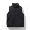 Men's Trendy High-End Stand-Up Collar Down Vest - Autumn/Winter Warm Gilet
