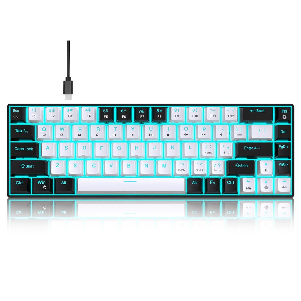 68-Key Wired Mechanical Gaming Keyboard - Hot-Swappable Blue Switches, Dual-Color Injection Keycaps, Ice Blue Backlight