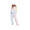 Nike Sportswear Macaron Colorblock Hooded Sweatshirt Women Tops Blue Green Pink DA1416-663