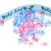 Pack of 50Pcs Cute Acrylic Pacifiers for Baby Shower Game and Gender Reveal Party Decorations Blue/Pink Full Moon Gift