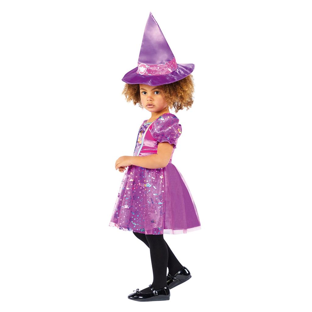 Paw Patrol Girls Skye Witch Costume Set