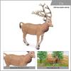Wild Forest Animal Model Educational Toy: Tibetan Antelope & Sika Deer