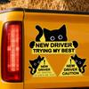 New Driver Sticker Funny 3 Pieces Black Cat Automotive Decal Vehicle Decoration Decals For Drivers Road Trips Daily Commuting