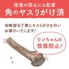 Maruichi Okada Shoten Deer Antler Dog Hokkaido (Large)