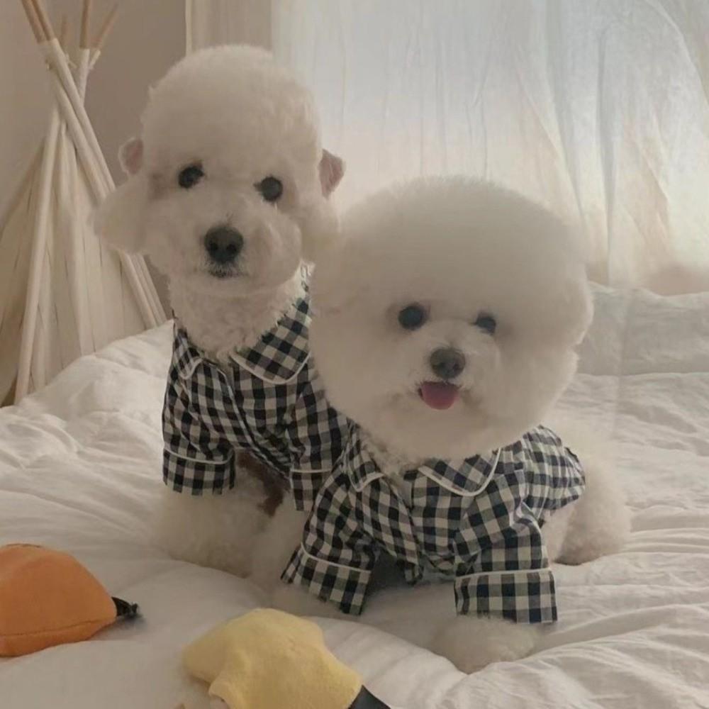 Décoration pour Animaux de Compagnie Chemises à Carreaux Confortables Style Ins Vêtements pour Animaux de Compagnie Mode Élégante Pyjamas pour Chiens Costume Mignon Vêtements pour Chiens et Chats Proposition