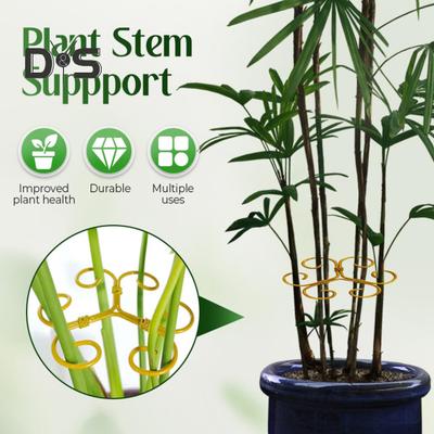 Monstera Plant Stabilizer Metal Plant Stem Holder Indoor Plant Support Stem Stabilizer for Garden Flowers Potted Plants Thriving Growth
