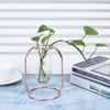 Transparent Hydroponic Plant Vases Flower Pot Tabletop Home Decorations