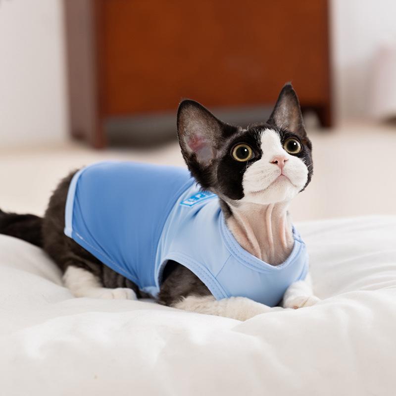 

Cat clothes Thin breathable contrasting color pet vest Spring and summer cool sleeveless two-legged clothes Blue cat kitten clothes XXL (recommended weight 15-10 kg)