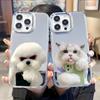 UV Painted Cute Than the Bear Puppet Cat High Definition Mirror Apple 15 Mobile Phone Case iPhone17 Makeup Mirror Case