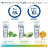 Brilliant More Whitening Dental Paste, Citrus Mint (90g) Brilliant More W Dental Exclusive Whitening Original Logo Packaging