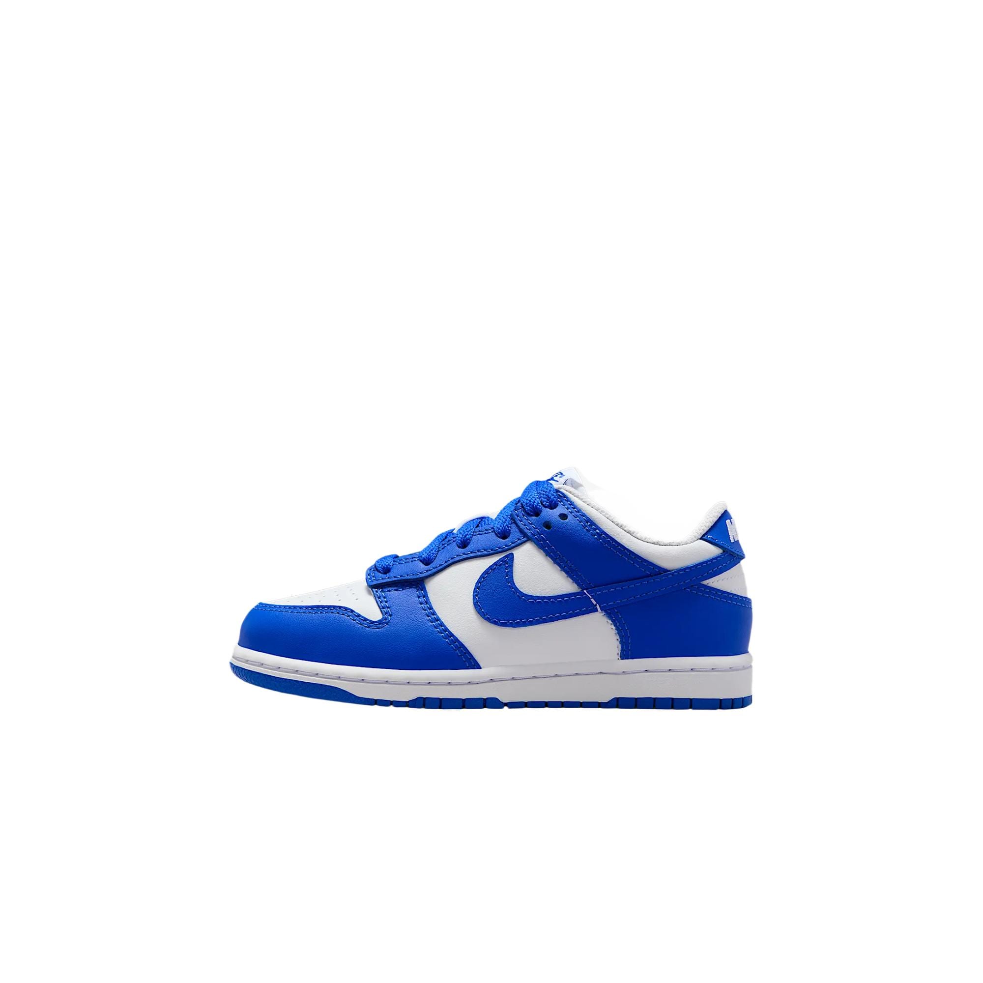 Nike Dunk Leather Kids` Skateboarding Shoes