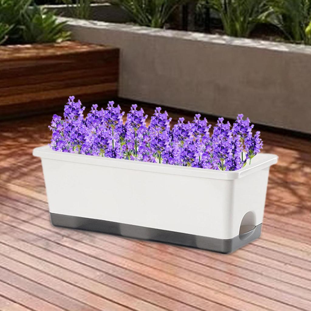 Windowsill Planter Window Box Planter Novelty with Drainage Tray Vegetable Flower Planter Box Rectangular for Garden Yard