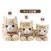 Sunlemon Knee Cat Plush Toy 11x29x12cm Cute Animal Stuffed Cat P-8022