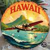 Hawaii Vintage Rundes Metallschild 8x8 Zoll Hawaiianische Inseln Blech Retro Strandbar Café Küchen Dekoration