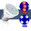 3Pcs E27 LED Plant Grow Light 110V 220V Hydroponic Growth Light Full Spectrum Indoor Hydroponics Flower Seedling Phyto Lamp