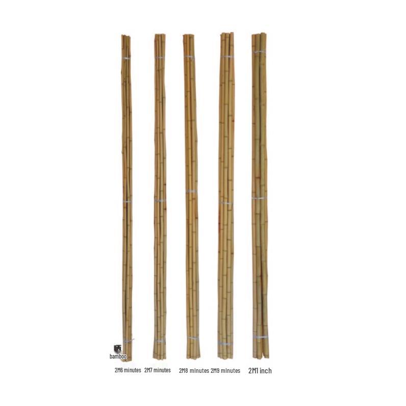Anti-Corrosion Bamboo Pole: Decorative Ceiling, Courtyard Screen, Partition, Retaining Wall, Fence, Railing, and Trellis.