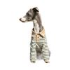 Autumn and Winter Cashmere Belly Four-legged Clothing Fabric Soft and Warm Little Greyhound Whippet Bellington Terrier Clothes