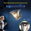 TLXT Outdoor Solar Garden Light - 4 Pack